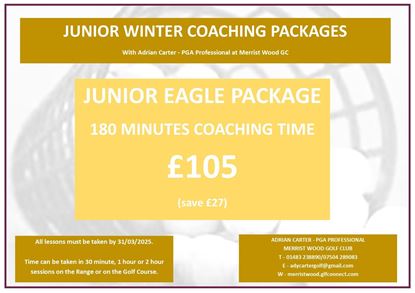 Picture of Junior Eagle Winter Lesson Package 2024/25