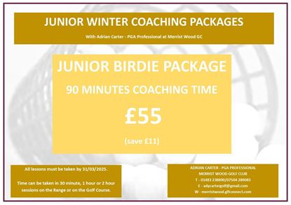 Picture of Junior Birdie Winter Lesson Package 2024/25