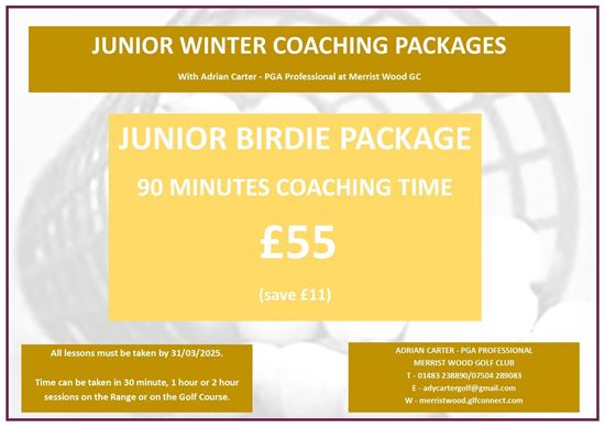 Picture of Junior Birdie Winter Lesson Package 2024/25