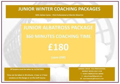 Picture of Junior Albatross Winter Lesson Package 2024/25