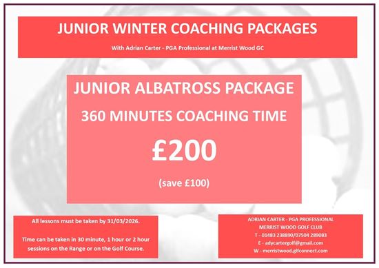 Picture of Junior Albatross Winter Lesson Package 2025/26