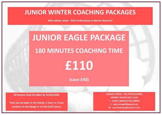 Picture of Junior Eagle Winter Lesson Package 2025/26