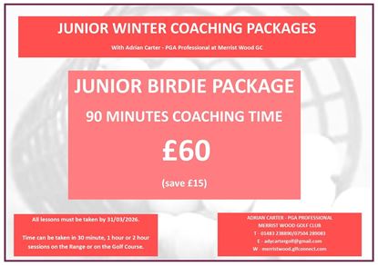 Picture of Junior Birdie Winter Lesson Package 2025/26